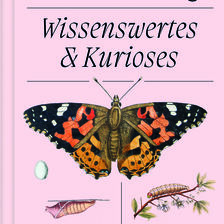 Kleines Buch - Schmetterlinge - Wissenswertes & Kurioses