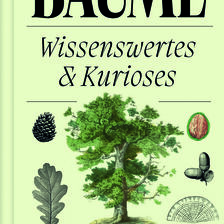 Kleines Buch - Bäume - Wissenswertes & Kurioses