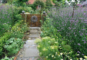 Presseinfo 1-2017 - Foto.JPG