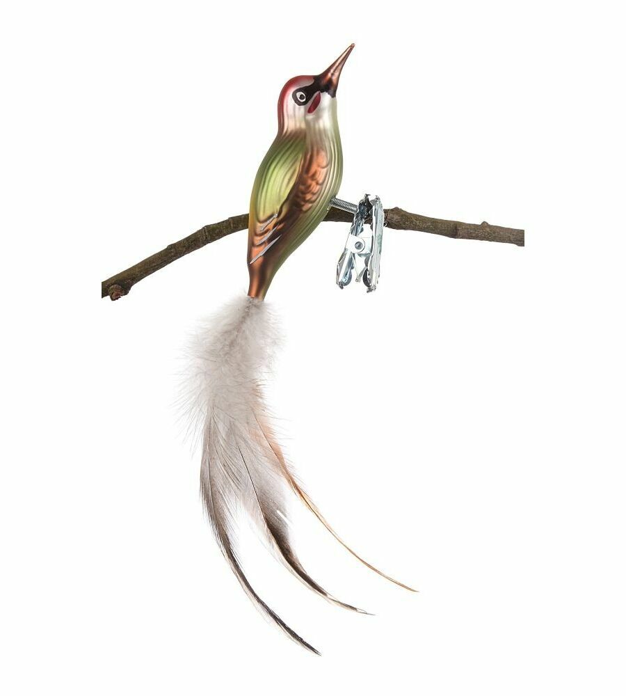 Glasvogel Grünsprecht