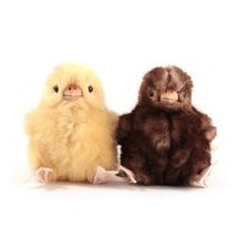 Bei den Plüschtieren, den Küken Nelly und Molly, zeigt sich die Idee der Plüschtier-Manufaktur Kösen: die Gestalter haben fein beobachtet und die Näher genau gearbeitet. Kösener Küken