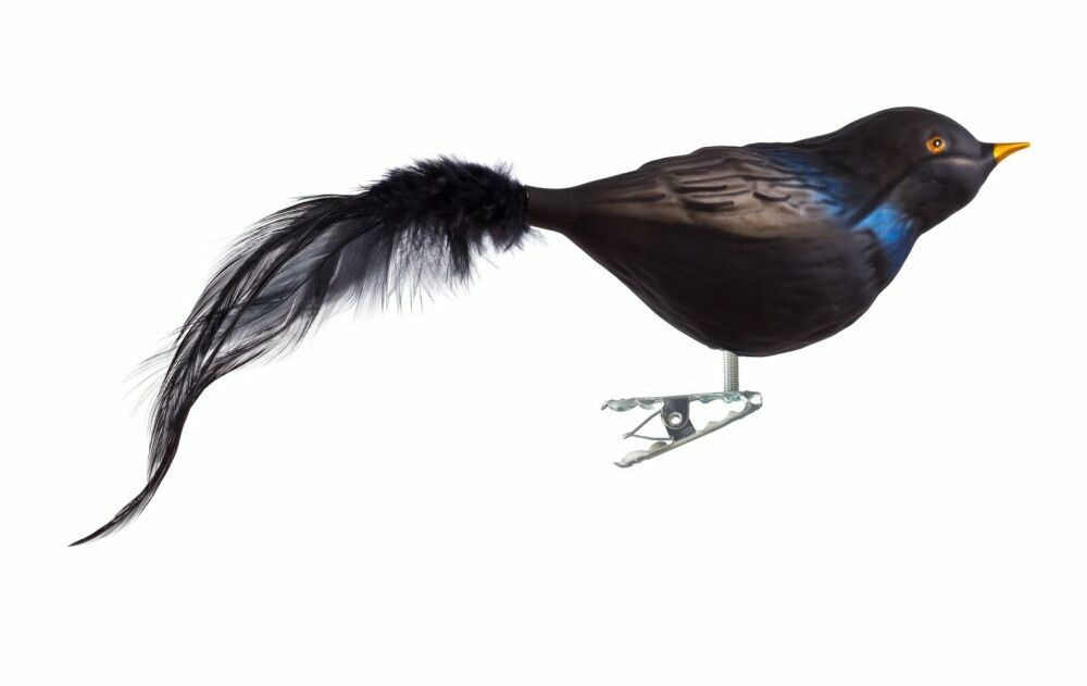 Amsel Tühringer Weihnacht