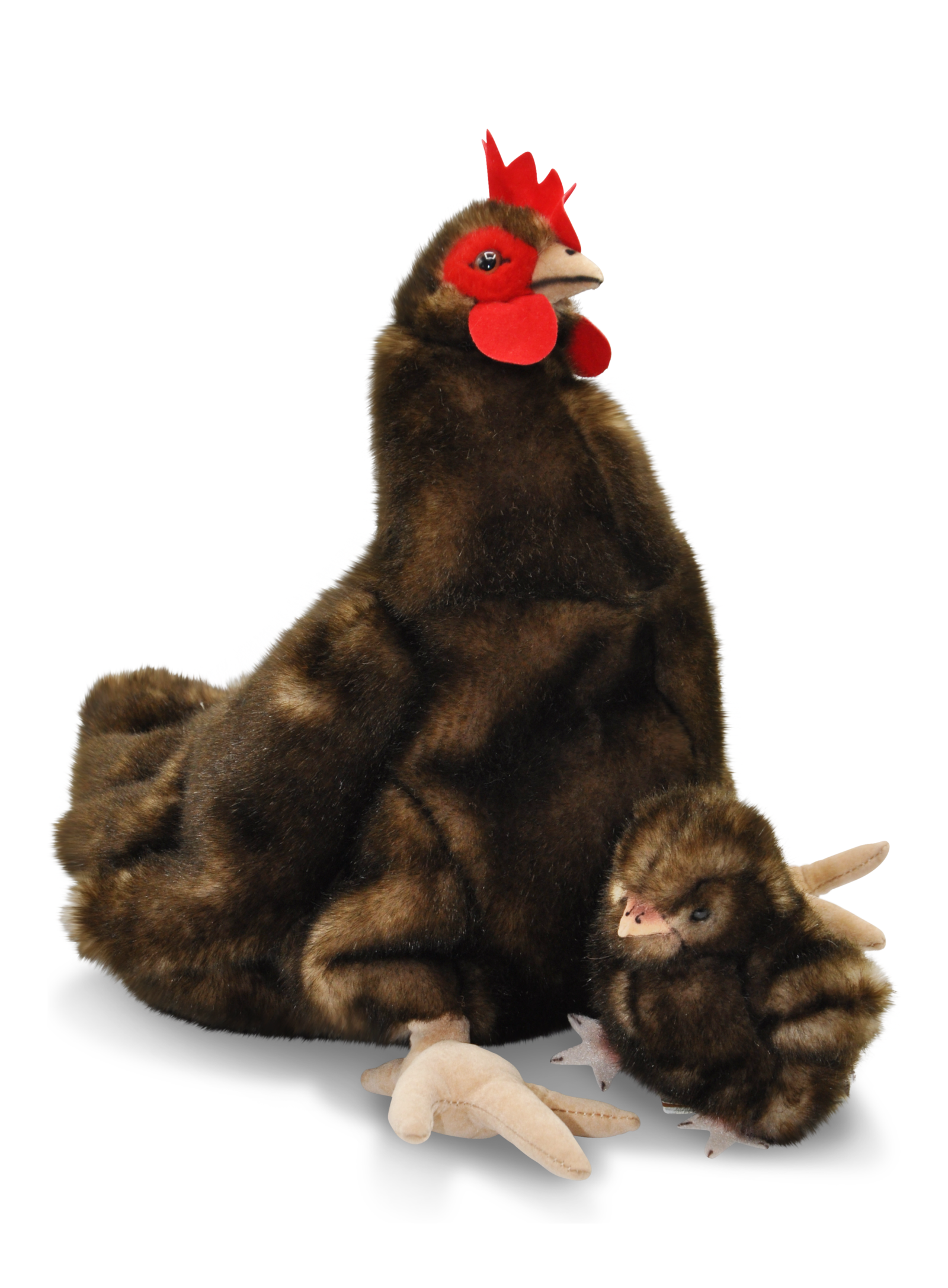 Kösener Henne mit Küken Molly 