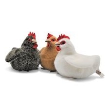 Plüschtier - Huhn, klein
