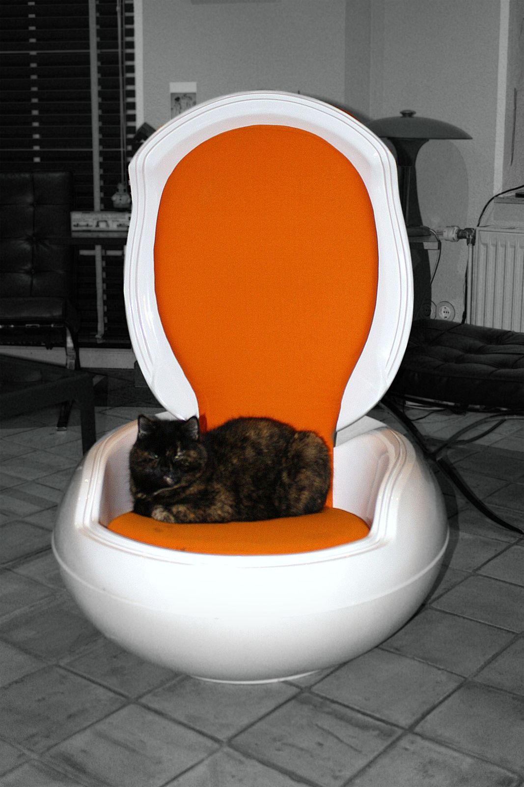 Erwischt: Coco auf dem garden-egg-chair