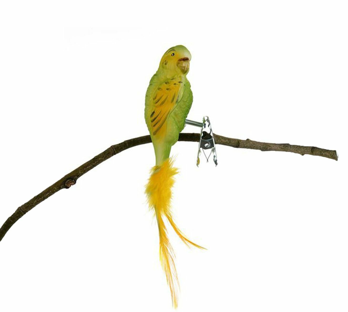 Glasvogel Wellensittich