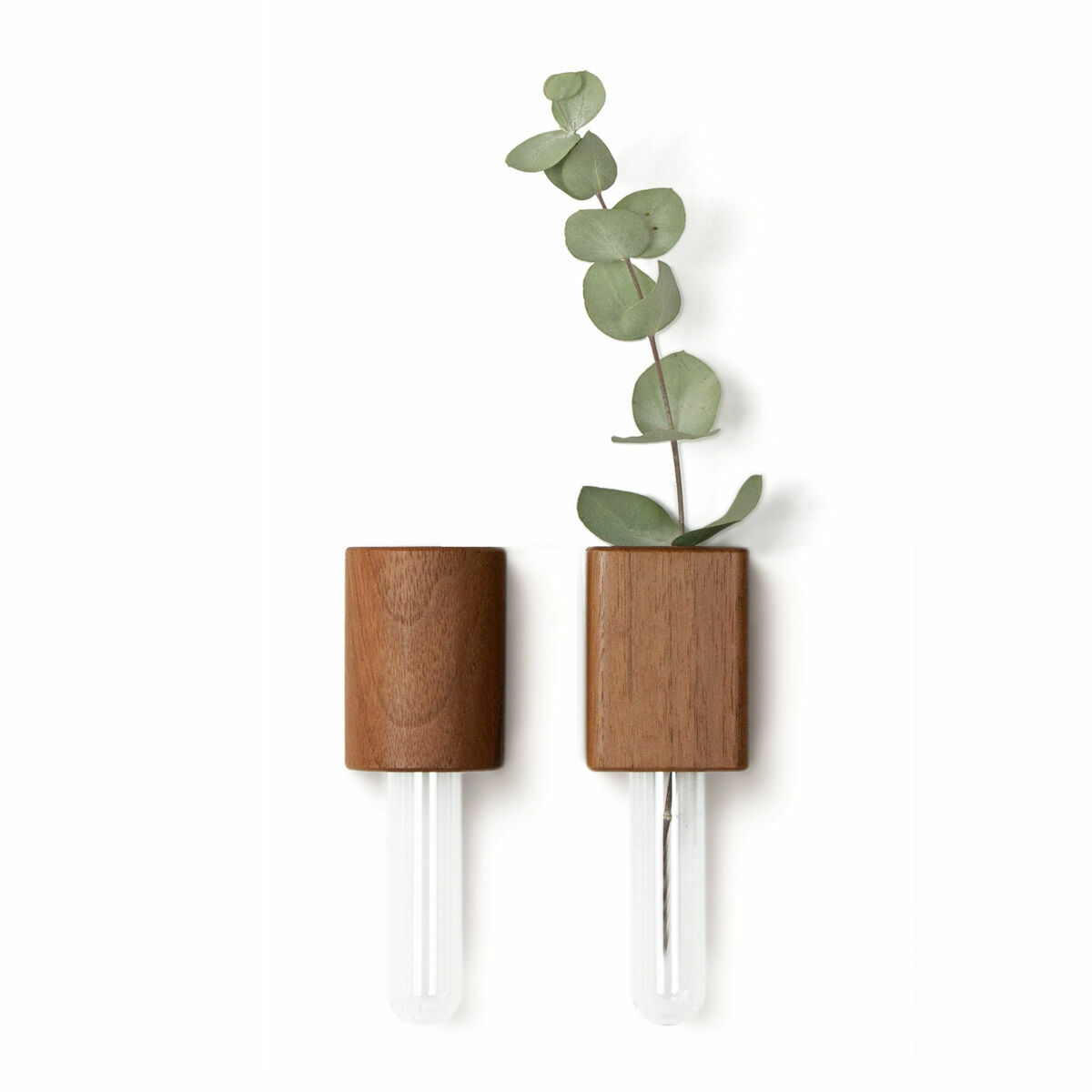 Lumeqi Holzvase, Nuss