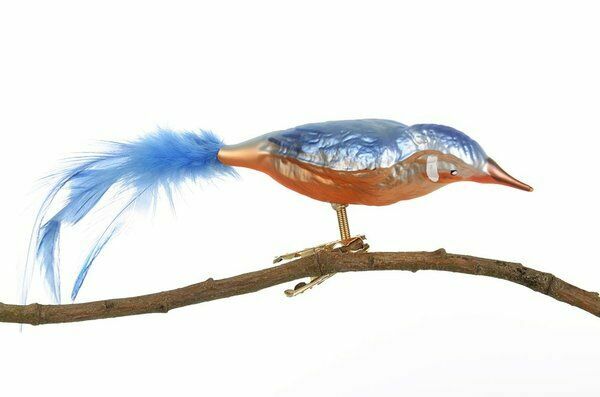 Eisvogel Tühringer Weihnacht