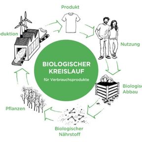 Materialien bleiben als Nährstoffe innerhalb von zwei Kreisläufen nützlich. Im biologischen Kreislauf werden ausschließlich Stoffe verwendet, die sich am Ende ihrer Nutzung biologisch abbauen können. Dies ist bei Verbrauchsprodukten, die durch ihrem Umgang teilweise oder sogar komplett in die Umwelt gelangen, besonders wichtig.