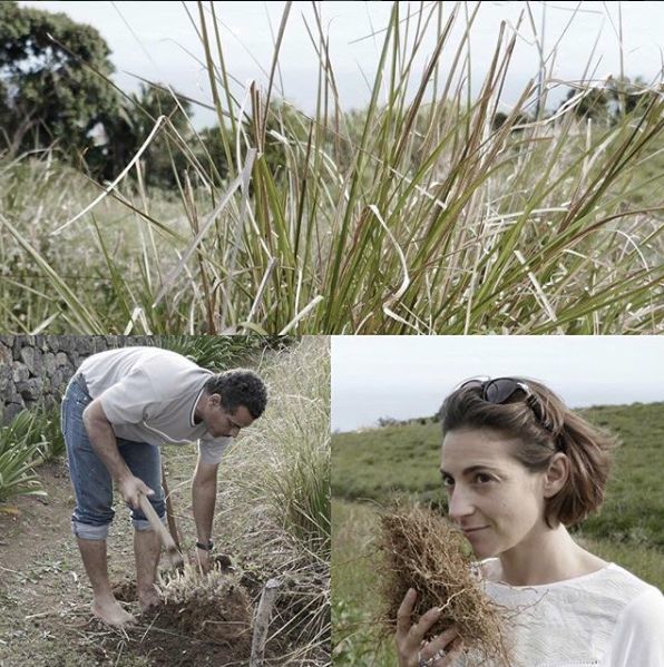Marie Le Febvre prüft auch vor Ort auf Qualität