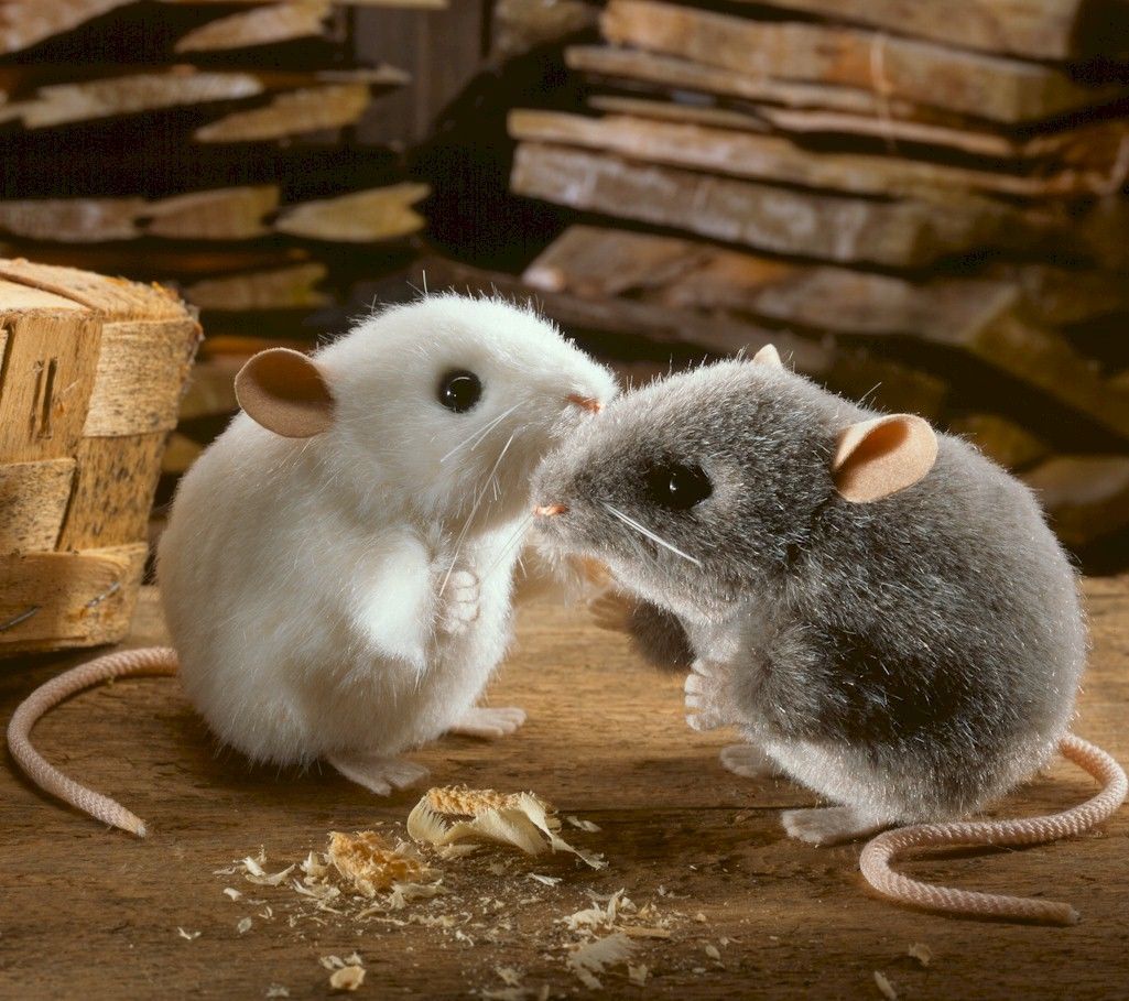 Plüschmäuse weiß und grau