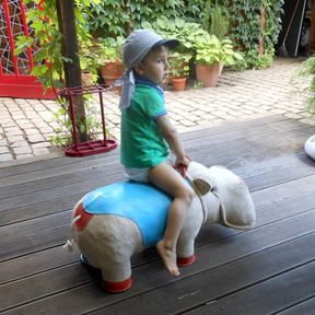 Früher oft in Kindergärten eingesetzt, wird das Nilpferd von Renate Müller nun vom Enkel geritten.